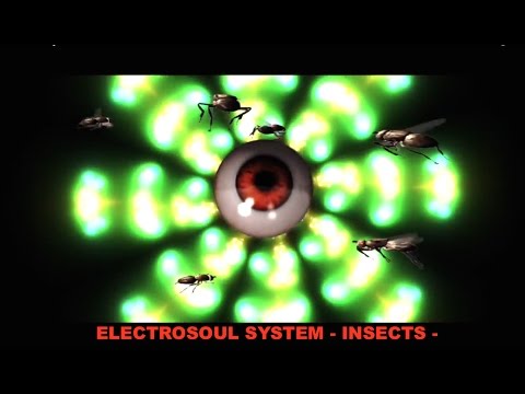 Electrosoul System "Insects" (official video)
