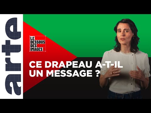 Martinique : nouveau drapeau aux couleurs anticoloniales - Le Dessous des images - ARTE