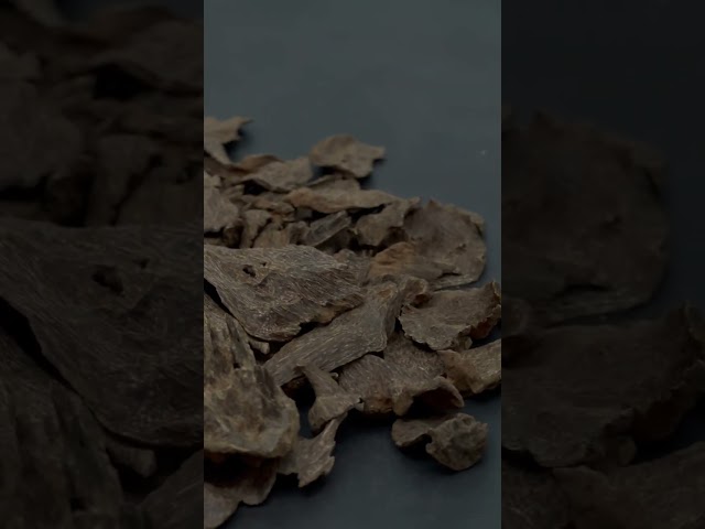 سيلاني فاخر (مباخر وميني)