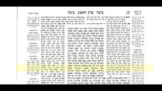 ביצה דף יב חלק ב