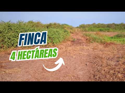 🚨Vendo Finca de 4 hectáreas en Santa Rosa, El Oro | Cerca del Terminal Terrestre de Santa Rosa