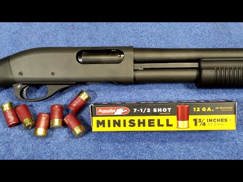 12 Gauge Mini Shells & Remington 870 Shotgun - Will They Cycle? Failure! DO NOT USE FOR HOME DEFENSE