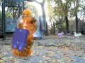 Linny The Guinea Pig In Space