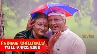 Pachani Chilukalu Telugu Full Video Song  Bharatee