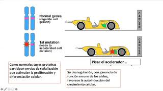 Genes Involucrados en la Etiopatogenia de los Cánceres