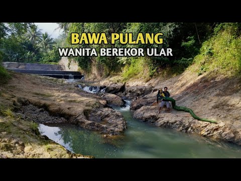 bawa pulang wanita cantik berekor ular setelah berhasil tertangkap d sungai - siluman ular
