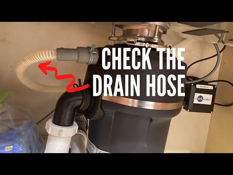 Is Your Dishwasher Not Draining? | 3 Reasons Why Water is in the Bottom of Your Dishwasher