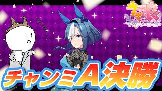 [チャンミ決勝][ウマ娘]今回こそはプラチナ奪還