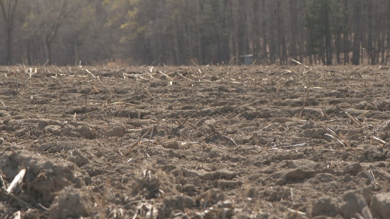 La semaine verte | Agroécologie et santé des sols