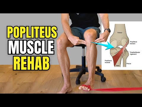 Anatomie & Behandlungswissen Videos – Interaktives Nachschlagewerk für Physio, Massage, Therapie 41 How to Fix Popliteus Pain (Best Exercises for Back of Knee Pain)
