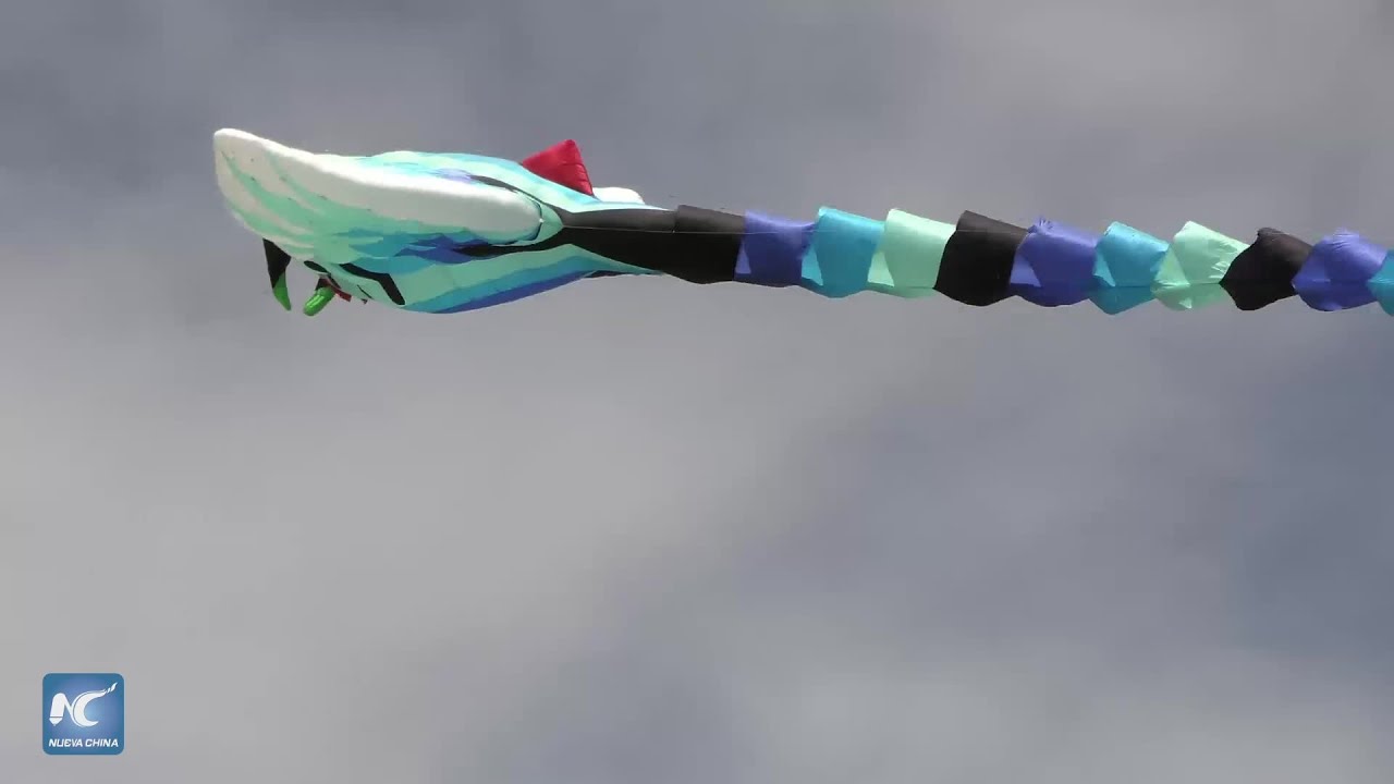 Familias panameñas disfrutan de Festival de Cometas y Panderos