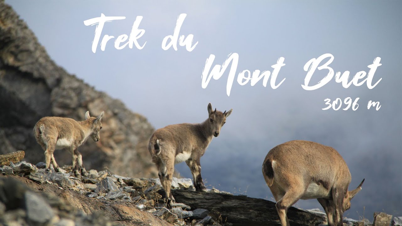 Miniature Trek