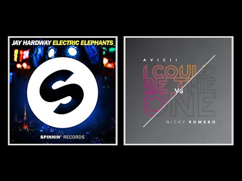 I Could Be the Electric Elephant (Mashup) - Jay Hardway vs Avicii & Nicky Romero