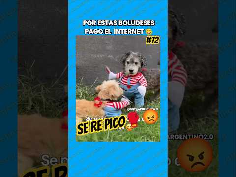 #elmejorpaisdelmundo #72 #argentina #estoesargentina #soyargentino #cheboludo