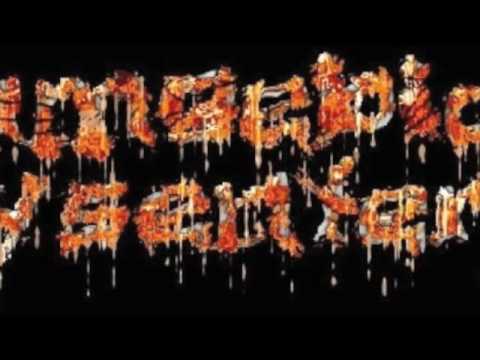 amoebic dysentery - necrophilaxe