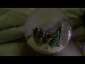 Snow Globe From The Santa Clause