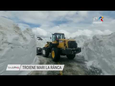 TROIENE MARI LA RÂNCA