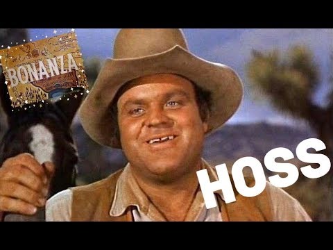 Dan Blocker  aka  'Hoss' Cartwright