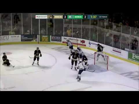 Maine Mariners vs. Newfoundland Growlers highlights - 11/26/22