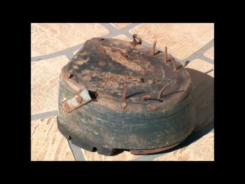 The Big Lick by Rose Gibson