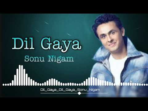| Dil Gaya Mera Dil Gaya | Tum Se Achcha Kaun Hai | Sonu Nigam |