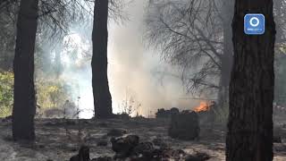 vesuvio-di-nuovo-in-fiamme-rogo-rifiuti-industriali-nel-parco
