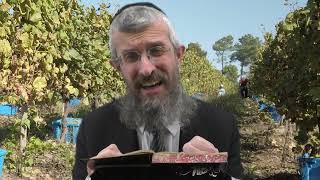 מסכת נזיר דף נח  - 8 דקות של לומדות ועמקות בדרך הלימוד הישיבתית [nazir 58]