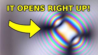 Zrób to sam: komórka Pockels!