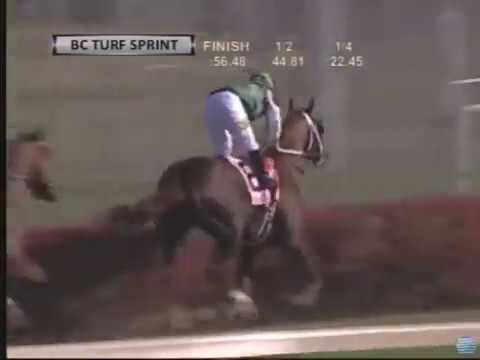 2011 Breeders Cup Turf Sprint (Regally Ready)