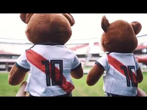 Oso Lucas en C.A. River Plate