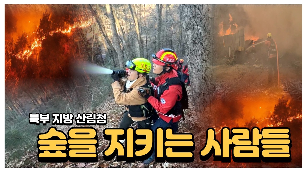 [강원365] 북부지방산림청 숲을 지키는 사람들