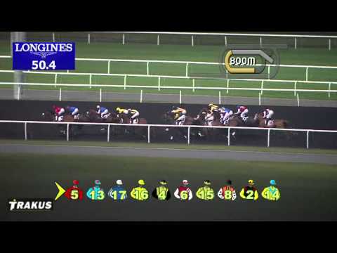 18.01.2014 Meydan (Dubai-UAE) 2.Race Wheels -Handicap 1.600 m