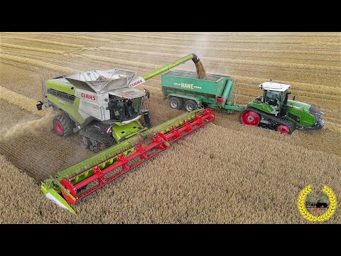 Claas Lexion 8900 TT / Getreideernte 2020 / Fendt 943 Vario MT Raupe / 2 X HAWE ULW / LKW
