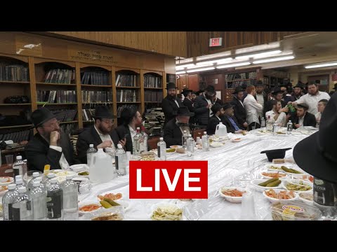 Chof Cheshvan Farbrengen