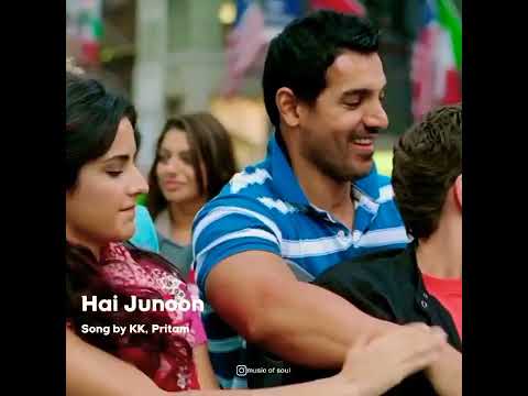 Hai Junoon (Movie: New York) cover