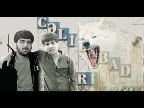 Nofer Mikayilli - Xeqani Samir (Celilabadlilar)