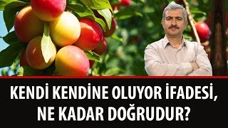 Dr. Burhan Sabaz - Kendi Kendine Oluyor İfadesi, Ne Kadar Doğrudur?