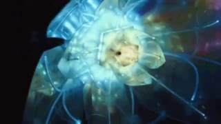 1995 _ Planet 6 - Touched By Mojo