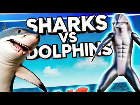 Sharks vs Dolphins: Ocean's Top Predators.