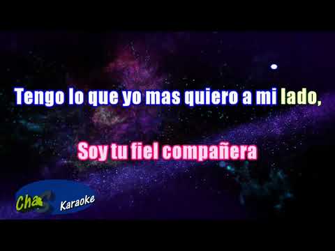 Los Auténticos Decadentes feat  Julieta Venegas  No Me Importa el Dinero Karaoke