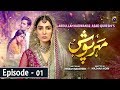 Meherposh EP 01 English Subtitles 3rd April 2020 HAR PAL GEO