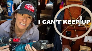 I tried to complete the Reef Check Diver training, but prep for my first haul out took over...