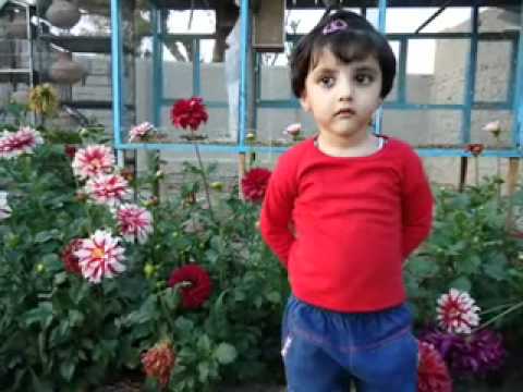 Sabrina Intisar Larkana Photos song.mp4