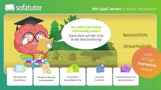Die Stockwerke im Wald – Ökosystem Wald Definition & Gefärdung
