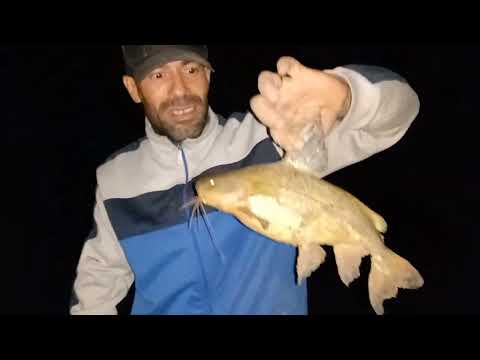 INCREIBLE!!! Pesca en el arroyo feliciano (quebracho)