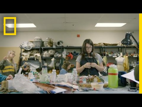 Thumbnail of the video: BARKSKINS IN PRODUCTION — Trailer | National Geographic