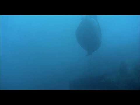 Thomas Hood - Silence (extract) from The Piano by Jane Campion