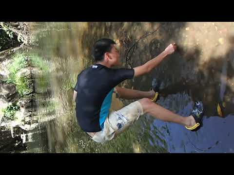 181123 video 3 Jasper throw pebble