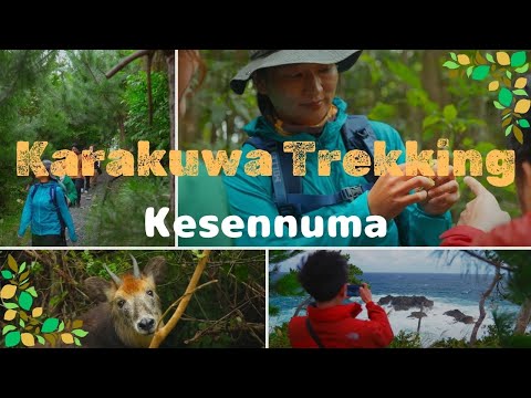 Kesennuma Karakuwa Trekking