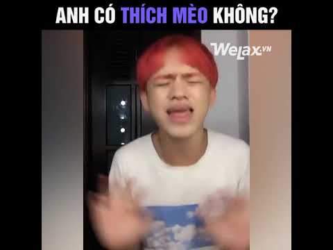 Học tiếng mèo kêu - Trần Đức Bo